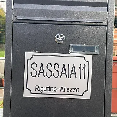 Sassaia11 *