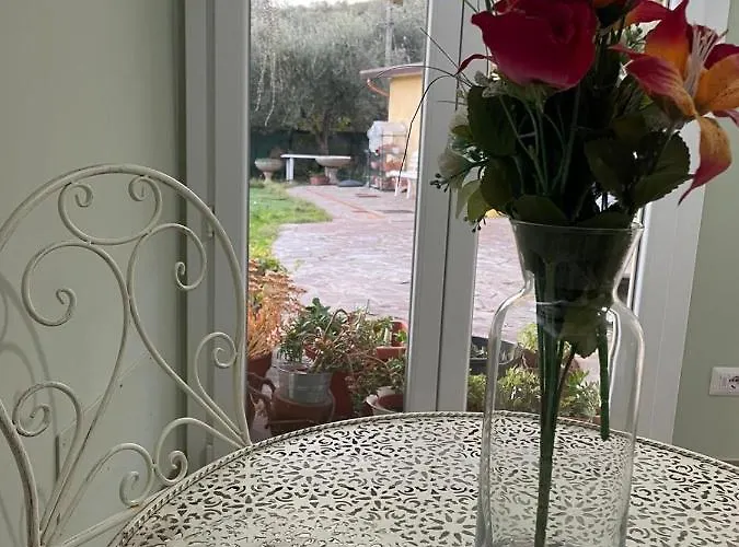 Sassaia11 Arezzo
