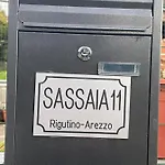 Sassaia11 *