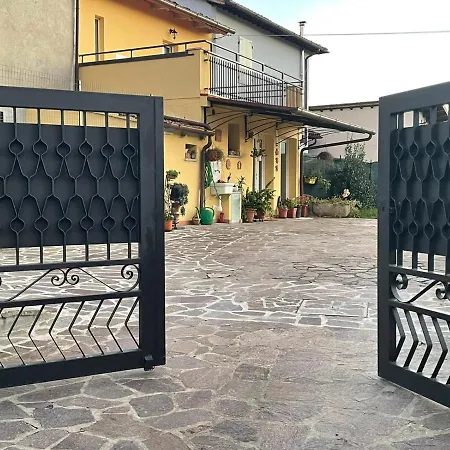 Sassaia11 * Arezzo