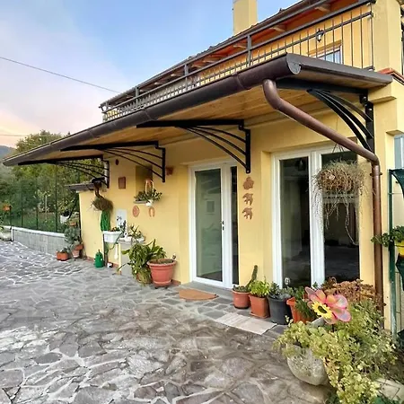 Sassaia11 * Arezzo