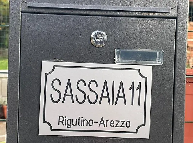 Sassaia11 *